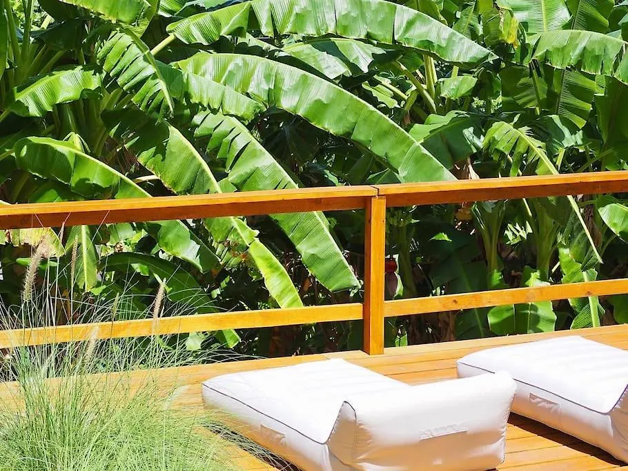 Little Diamond, Wooden Jungle House. Bathsheba. Villa Saint Joseph
