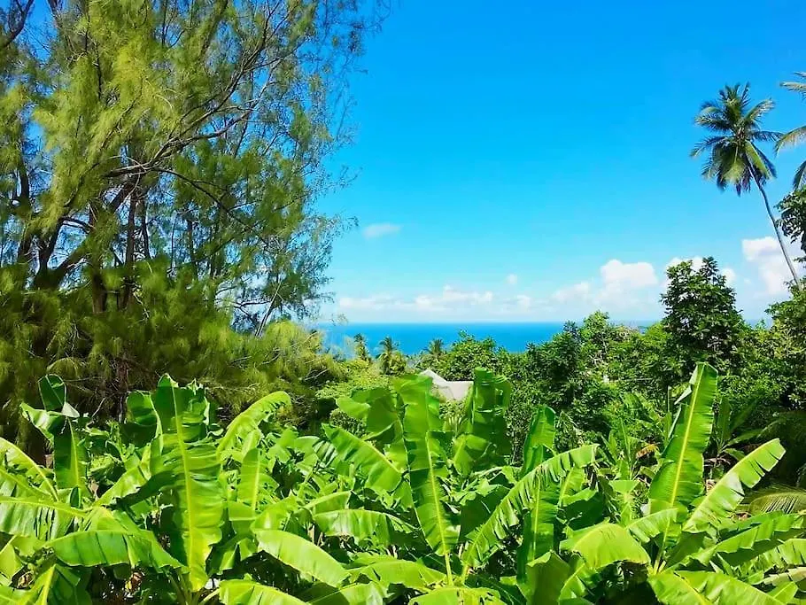 Feriehus Little Diamond, Wooden Jungle House. Bathsheba. Villa Saint Joseph