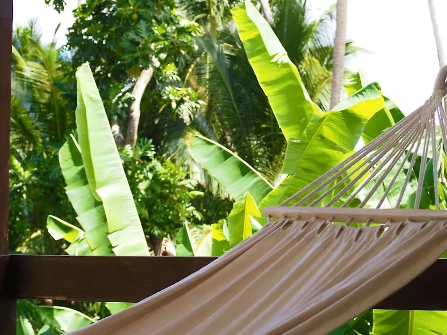 Little Diamond, Wooden Jungle House. Bathsheba. Villa Saint Joseph 0*,