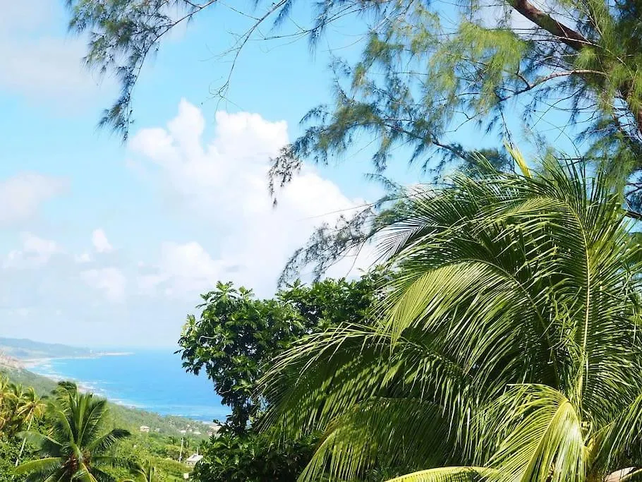 Little Diamond, Wooden Jungle House. Bathsheba. Villa Saint Joseph Feriehus