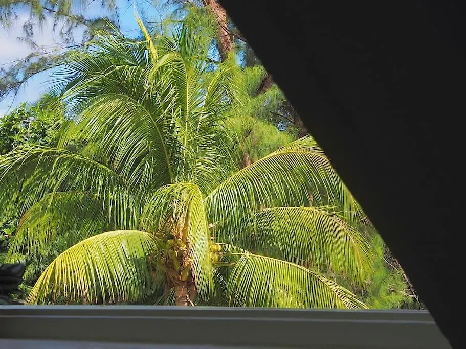 Feriehus Little Diamond, Wooden Jungle House. Bathsheba. Villa Saint Joseph
