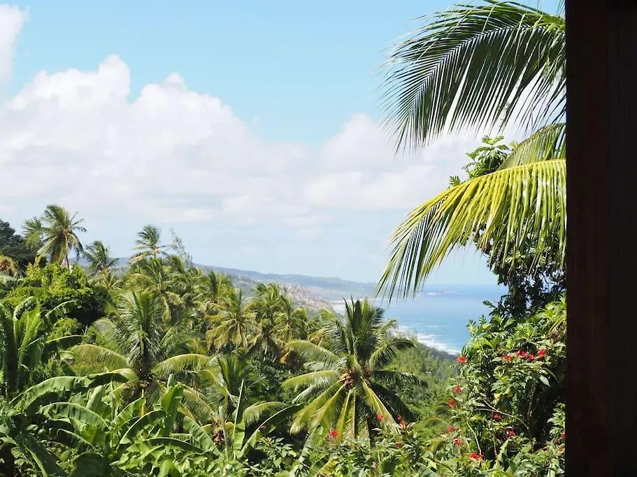 Little Diamond, Wooden Jungle House. Bathsheba. Villa Saint Joseph Feriehus