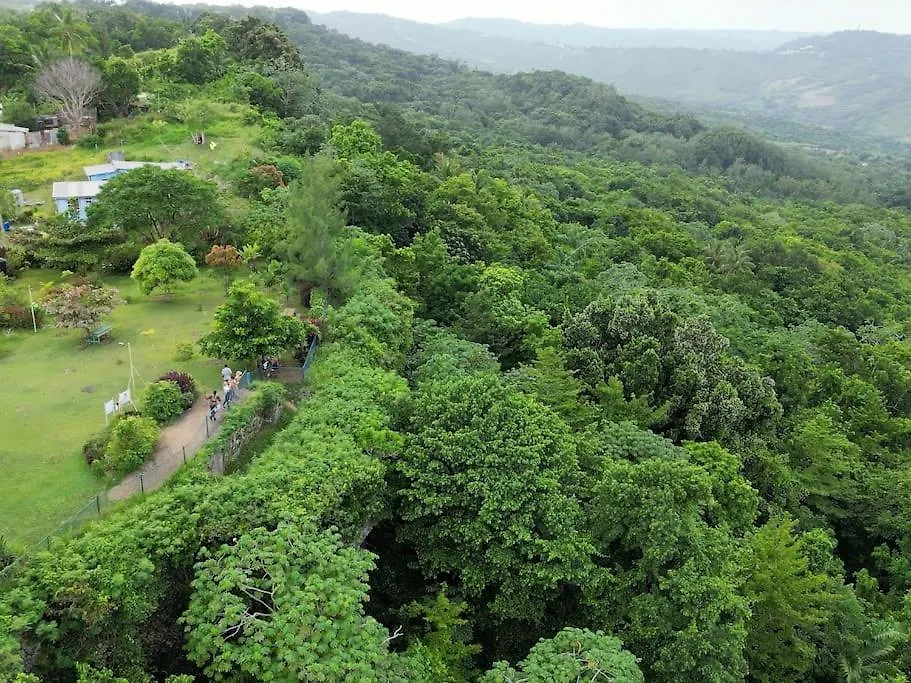 Little Diamond, Wooden Jungle House. Bathsheba. Villa Saint Joseph 0*,  Barbados