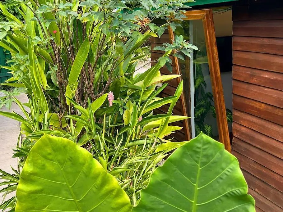Little Diamond, Wooden Jungle House. Bathsheba. Villa Saint Joseph 0*,
