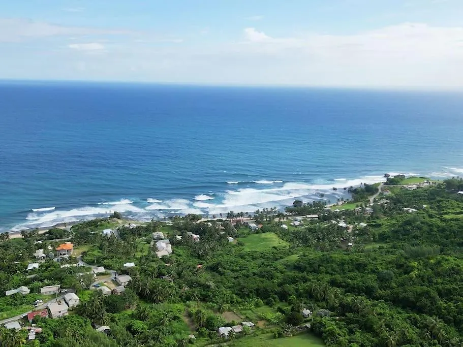Little Diamond, Wooden Jungle House. Bathsheba. Villa Saint Joseph Feriehus