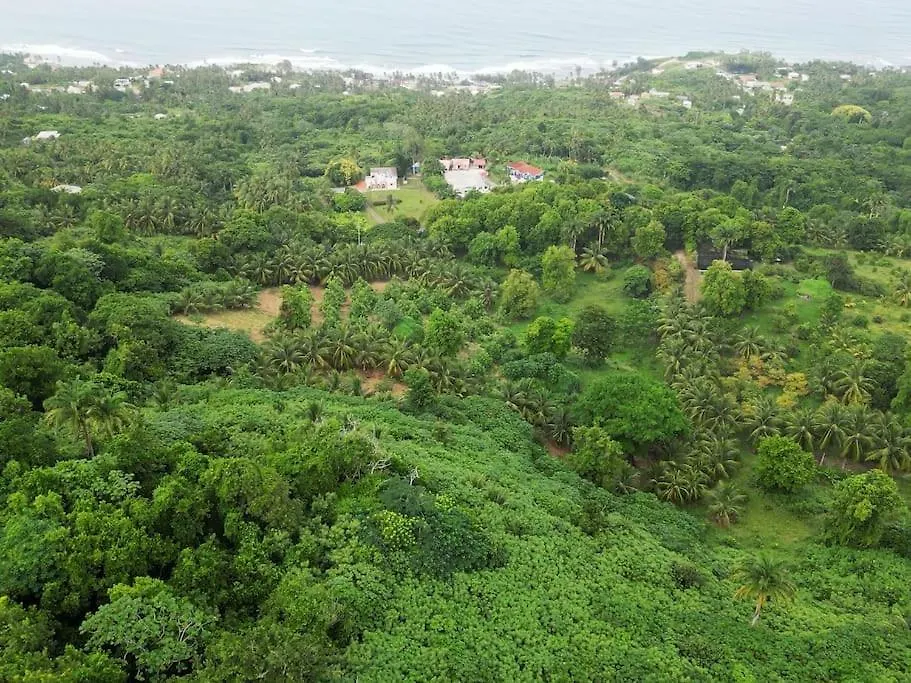 Feriehus Little Diamond, Wooden Jungle House. Bathsheba. Villa Saint Joseph