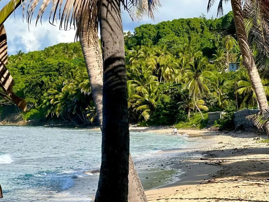 Little Diamond, Wooden Jungle House. Bathsheba. Villa Saint Joseph Feriehus