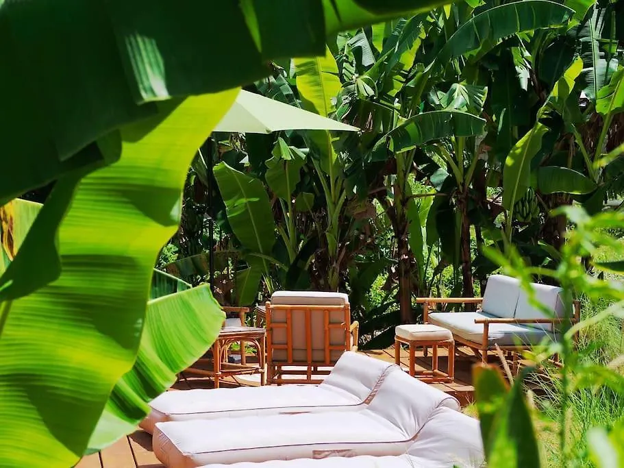 Little Diamond, Wooden Jungle House. Bathsheba. Villa Saint Joseph 0*,  Barbados