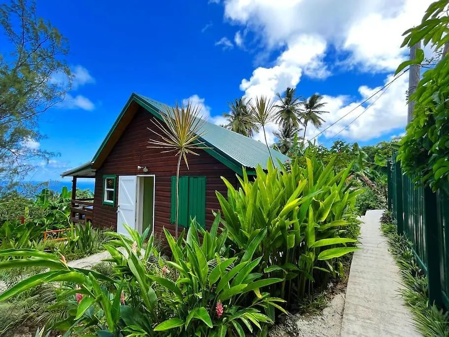 Little Diamond, Wooden Jungle House. Bathsheba. Villa Saint Joseph 0*,  Barbados