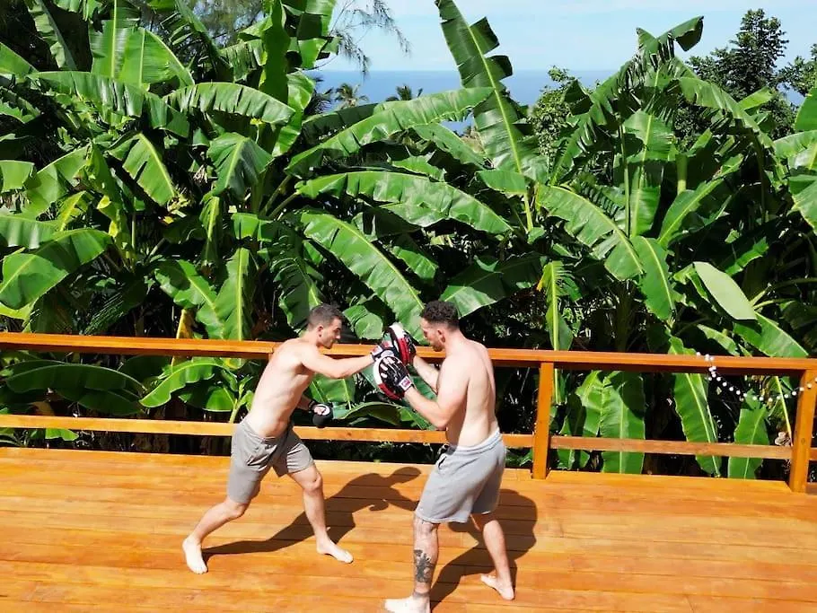 Little Diamond, Wooden Jungle House. Bathsheba. Villa Saint Joseph 0*,  Barbados
