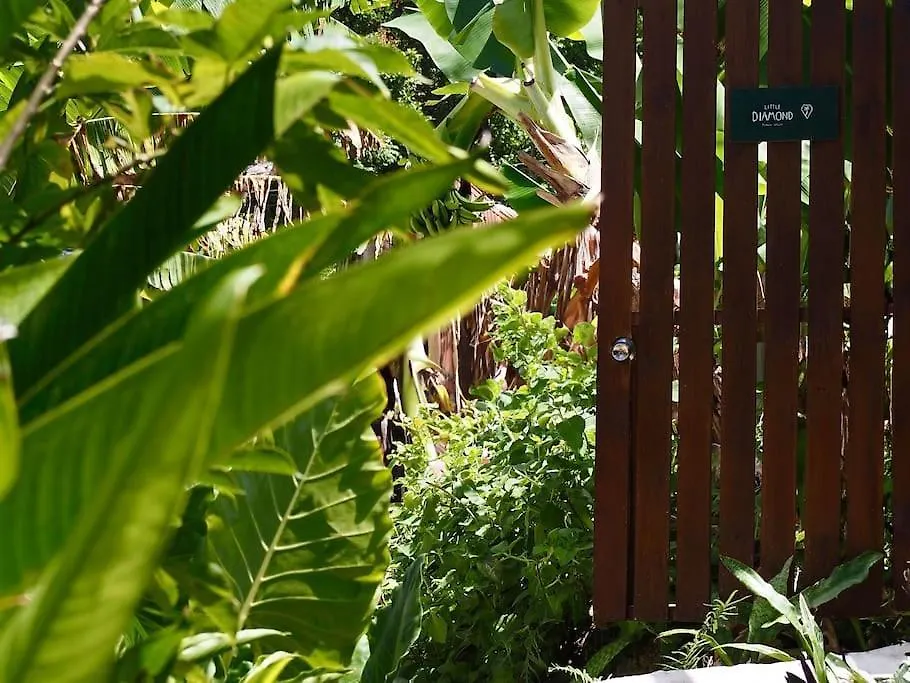 Feriehus Little Diamond, Wooden Jungle House. Bathsheba. Villa Saint Joseph Barbados