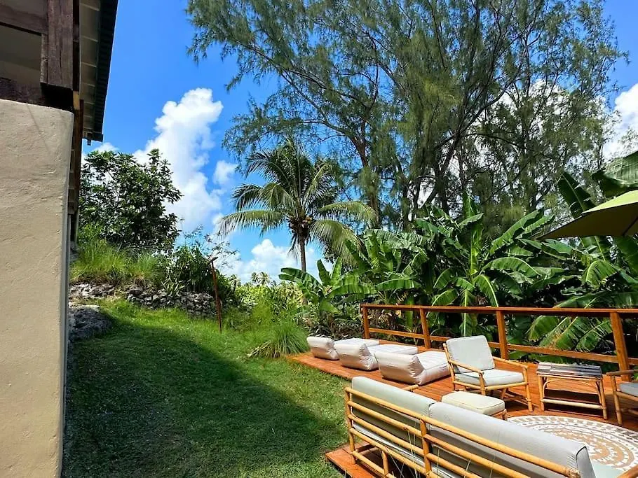 Little Diamond, Wooden Jungle House. Bathsheba. Villa Saint Joseph