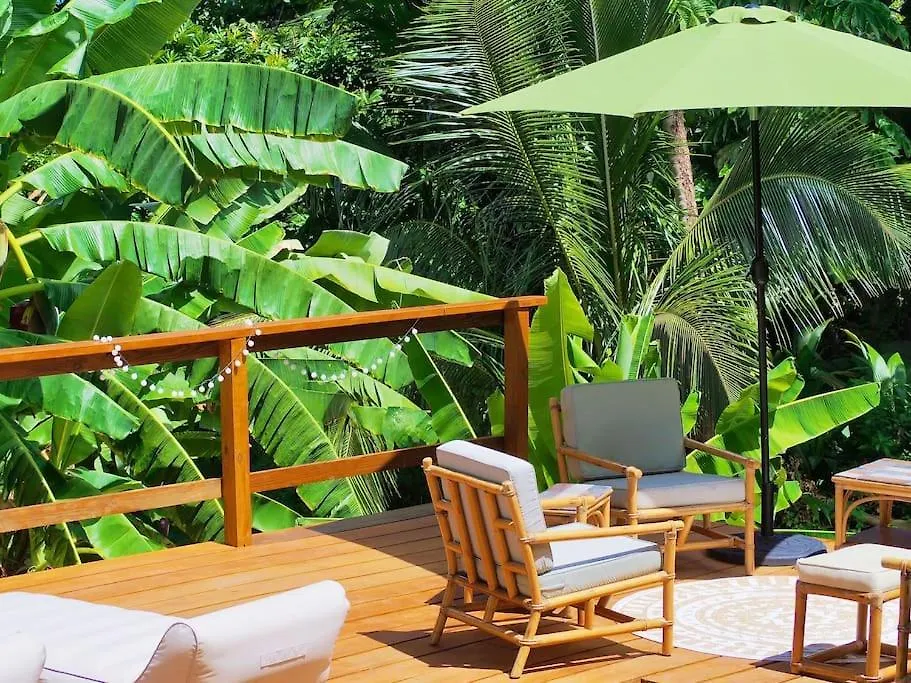 Little Diamond, Wooden Jungle House. Bathsheba. Villa Saint Joseph