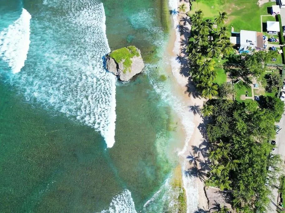 Little Diamond, Wooden Jungle House. Bathsheba. Villa Saint Joseph Feriehus