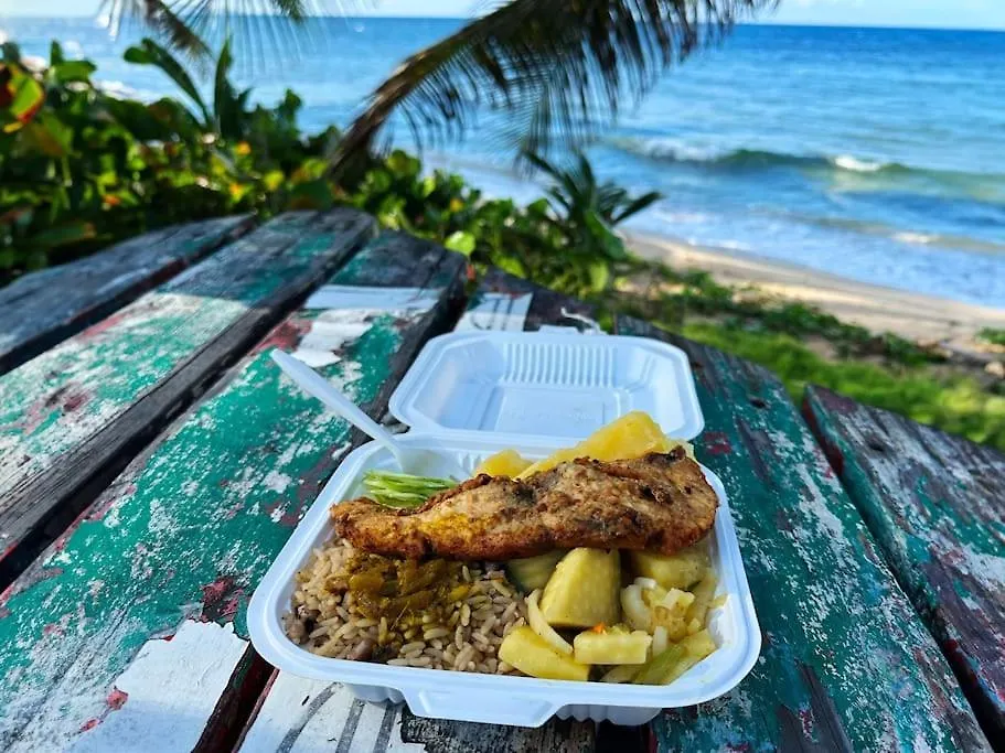 Feriehus Little Diamond, Wooden Jungle House. Bathsheba. Villa Saint Joseph
