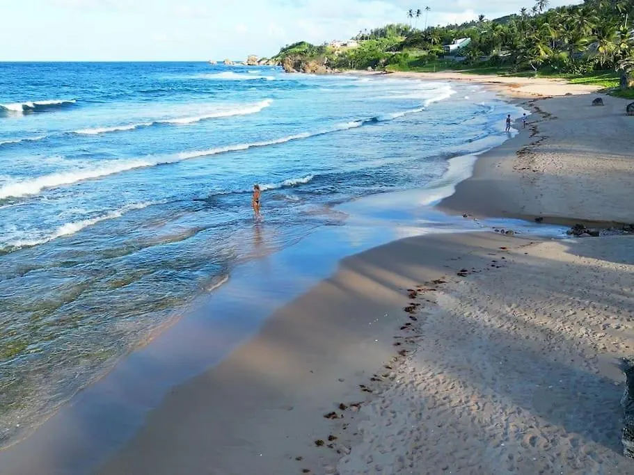 Feriehus Little Diamond, Wooden Jungle House. Bathsheba. Villa Saint Joseph