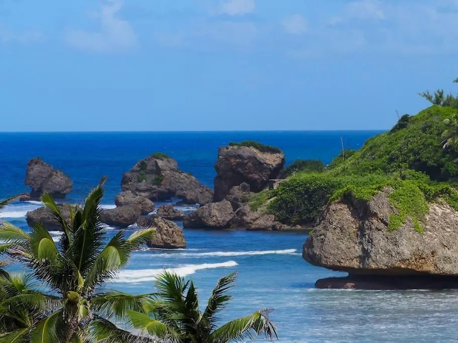 Little Diamond, Wooden Jungle House. Bathsheba. Villa Saint Joseph 0*,