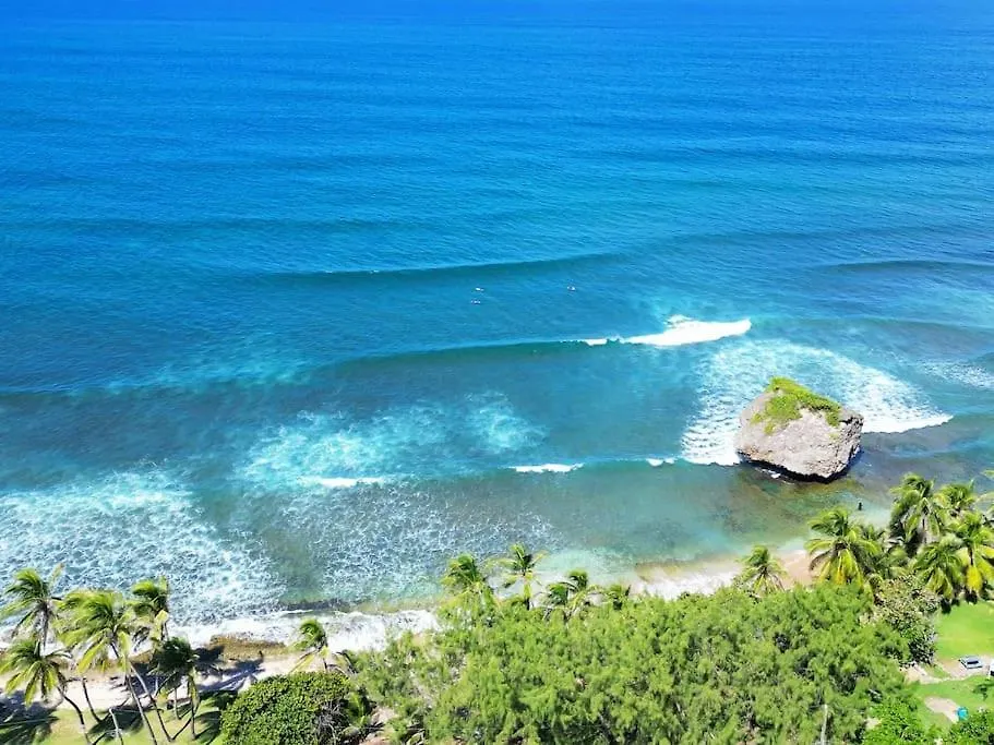 Little Diamond, Wooden Jungle House. Bathsheba. Villa Saint Joseph