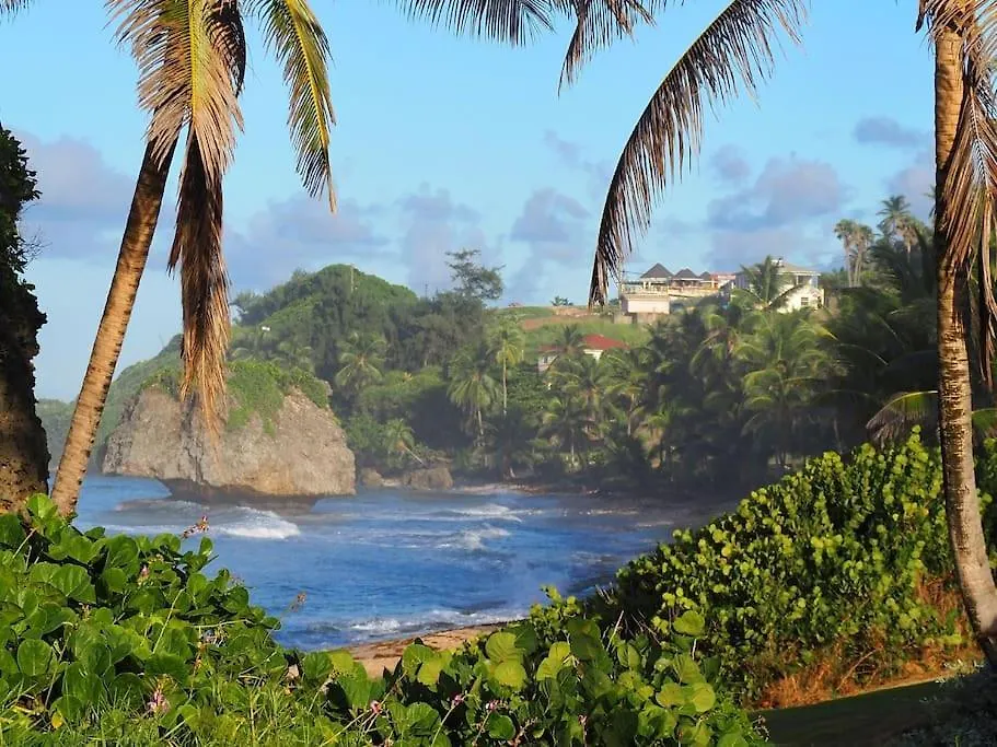 Feriehus Little Diamond, Wooden Jungle House. Bathsheba. Villa Saint Joseph