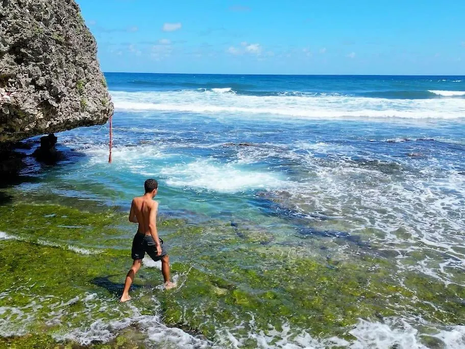 Feriehus Little Diamond, Wooden Jungle House. Bathsheba. Villa Saint Joseph Barbados