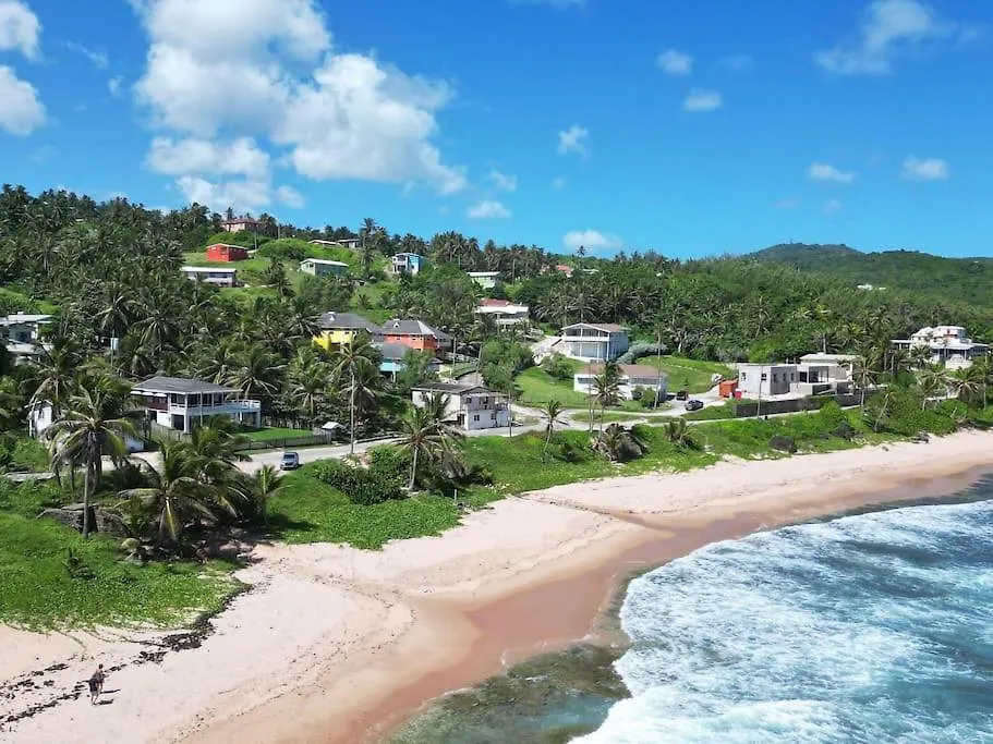 Little Diamond, Wooden Jungle House. Bathsheba. Villa Saint Joseph 0*,
