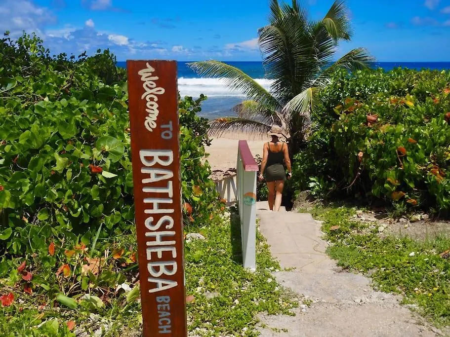 Little Diamond, Wooden Jungle House. Bathsheba. Villa Saint Joseph